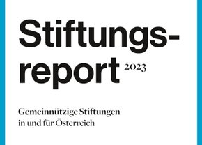 Stiftungsreport Cover
