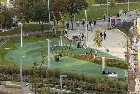 Grüne Landschaft auf dem Campus