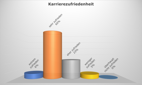 Karrierezufriedenheit als Diagramm