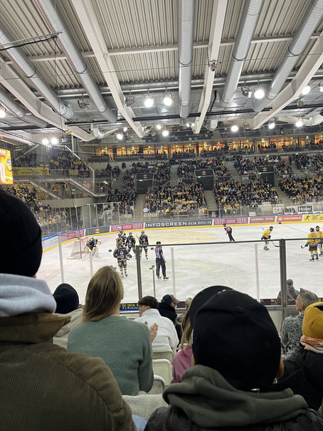 Buddies beim Vienna Capitals Eishockey-Match