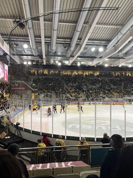 Ausflug Eishockey-Match