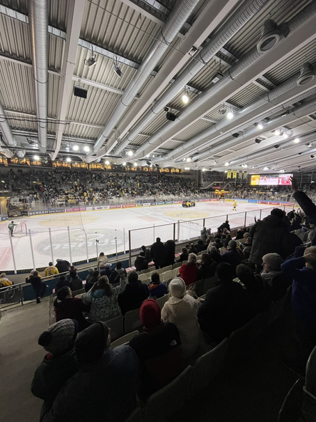 Ausflug Eishockey-Match