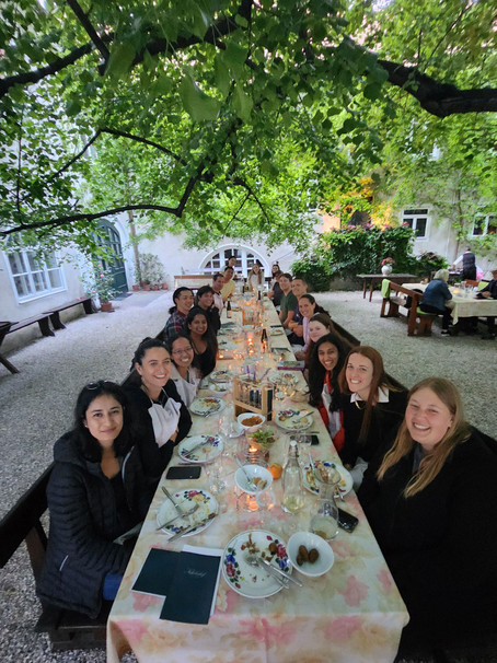 Dinner in Wachau - picturesque Austrian valley