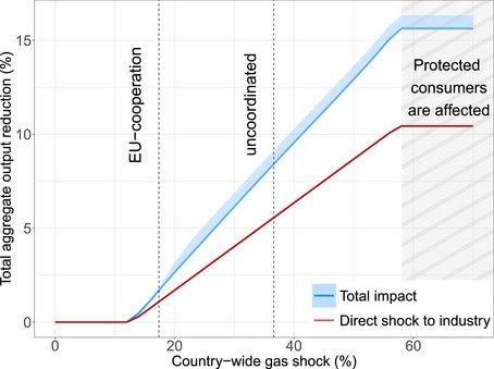 [Translate to English:] Graph zu den Auswirkungen des Preisschocks aus dem Paper