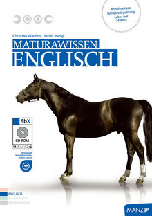 Buch Maturawissen Englisch