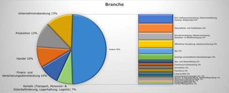 Haupttätigkeitsbereiche als Tortendiagramm